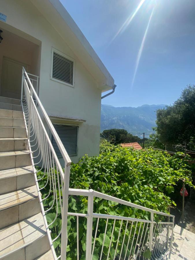 Apartments Djuricic Kotor Exterior photo
