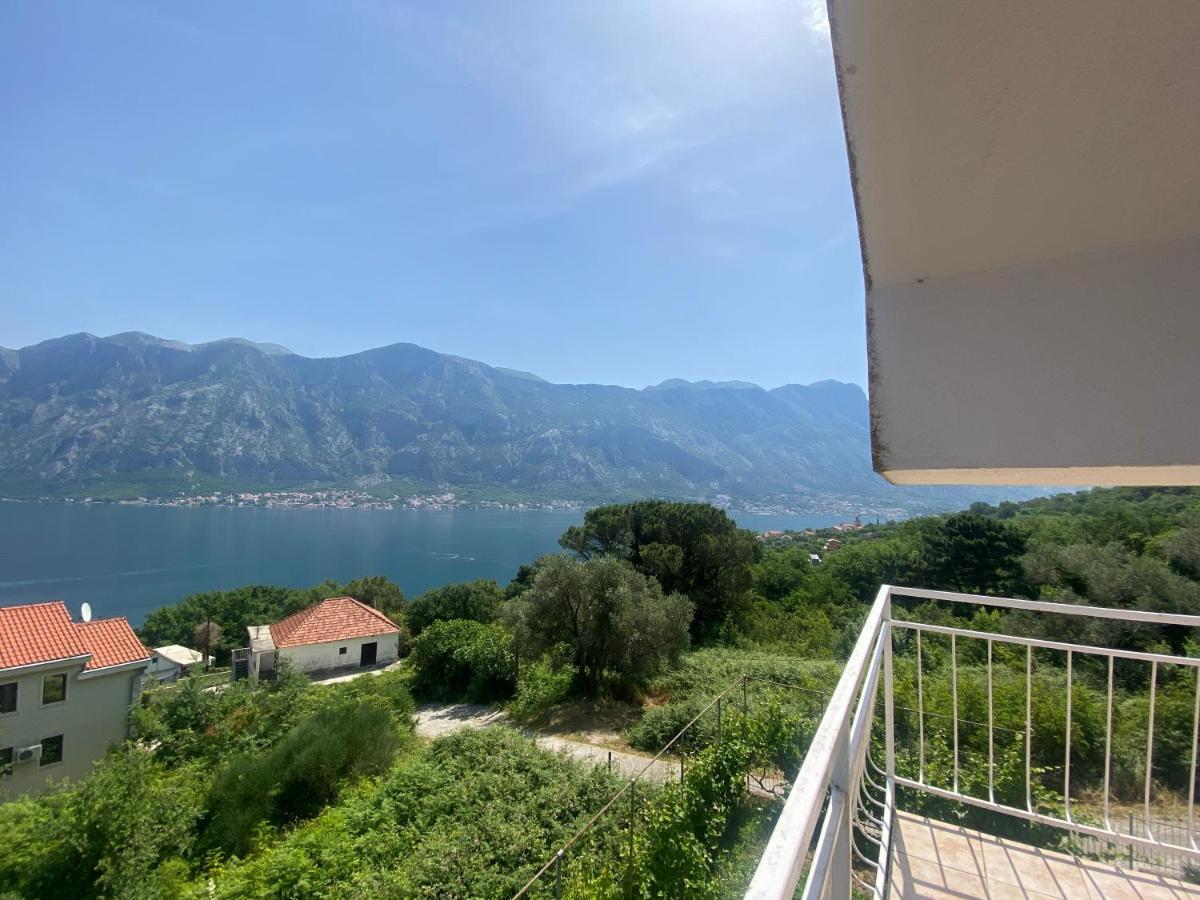 Apartments Djuricic Kotor Exterior photo